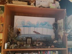 242347432_552711555845037_92513087857649925_n